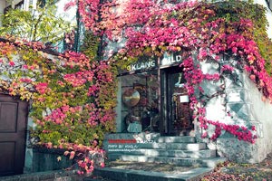 篮球明星库里再次刷新三分球纪录：他的传奇与未来