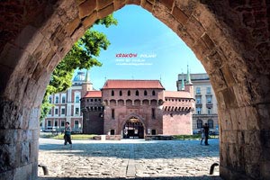 浙江男篮在激烈比拼中取得一场胜利：胜利背后的故事